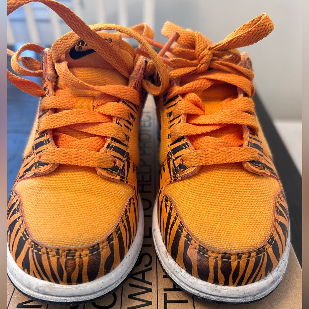 Kids Nike Dunk Low